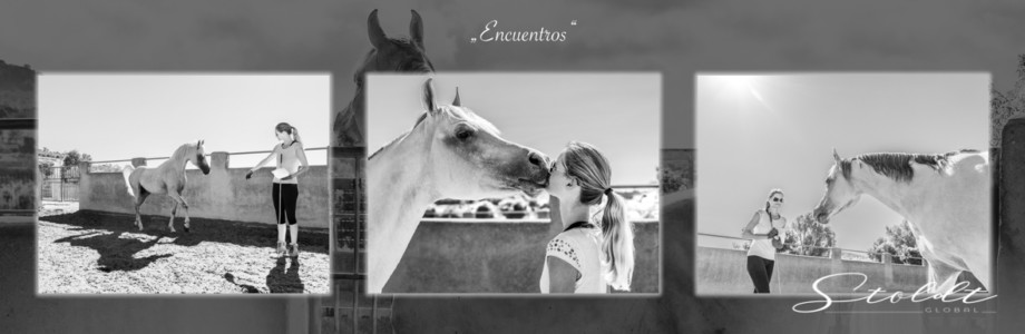 Animal photography in Valencia Sagunto Castellón and Mallorca horse and rider interacting reportage