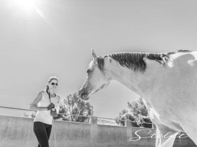 Animal photography in Valencia Sagunto Castellón and Mallorca horse and rider come together