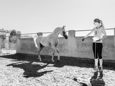 Animal photography in Valencia Sagunto Castellón and Mallorca horse and rider interacting