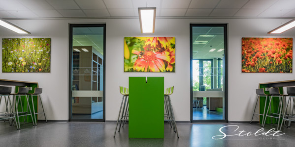 architecture photography of a school building interior