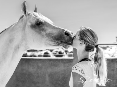 Animal photography in Valencia Sagunto Castellón and Mallorca horse kissing the rider