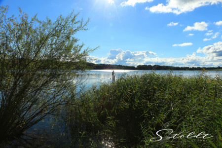 Nature and landscape photography showing a person with a dog on a lake in Germany