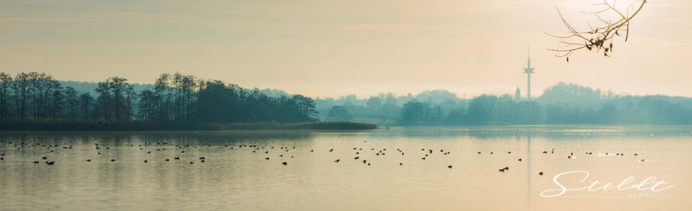 Nature and landscape photography showing a lake with birds at sunrise in Germany